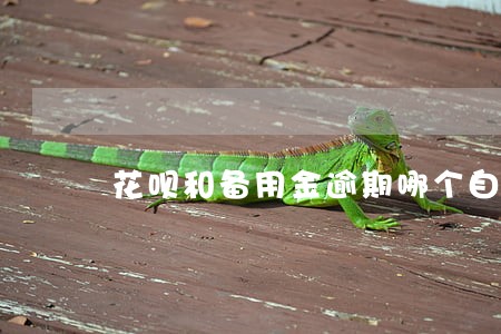 花呗和备用金逾期哪个自动扣钱 花呗和备用金逾期哪个自动扣钱