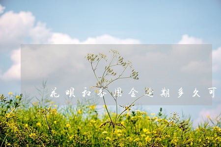 花呗和备用金逾期多久可以取用 花呗和备用金逾期多久可以取用