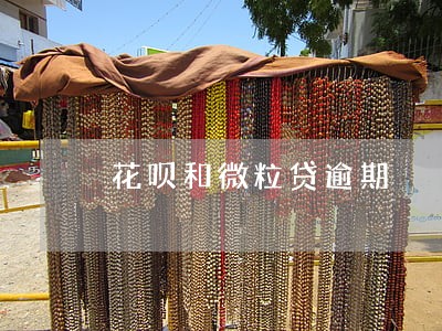 花呗和微粒贷逾期 花呗和微粒贷逾期