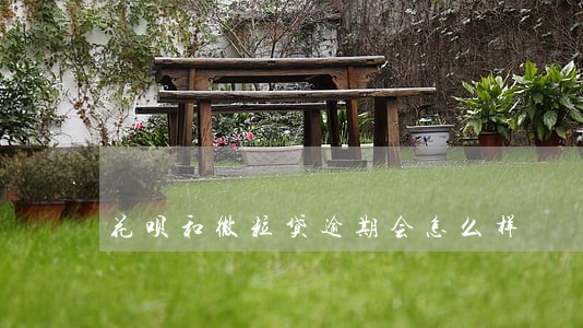 花呗和微粒贷逾期会怎么样 花呗和微粒贷逾期会怎么样