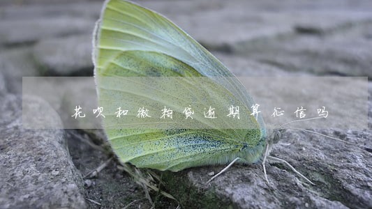 花呗和微粒贷逾期算征信吗
