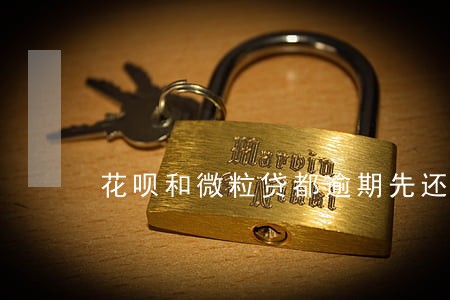 花呗和微粒贷都逾期先还哪一个 花呗和微粒贷都逾期先还哪一个