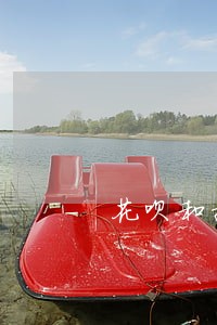 花呗和捷信同时逾期20天 花呗和捷信同时逾期20天