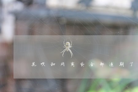花呗和网商贷全部逾期了 花呗和网商贷全部逾期了