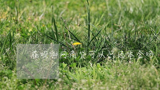 花呗和网商贷可以只还本金吗 花呗和网商贷可以只还本金吗