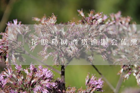 花呗和网商贷逾期会传票吗 花呗和网商贷逾期会传票吗