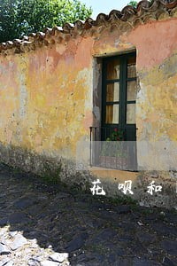 花呗和网商贷逾期先还那个 花呗和网商贷逾期先还那个