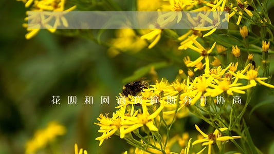 花呗和网商贷逾期分开协商 花呗和网商贷逾期分开协商