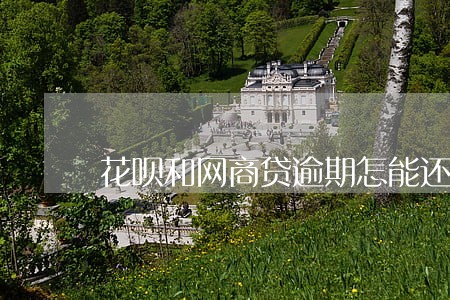 花呗和网商贷逾期怎能还 花呗和网商贷逾期怎能还