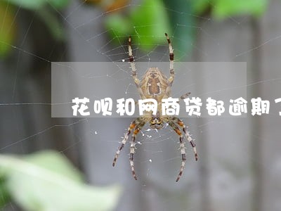花呗和网商贷都逾期了 花呗和网商贷都逾期了