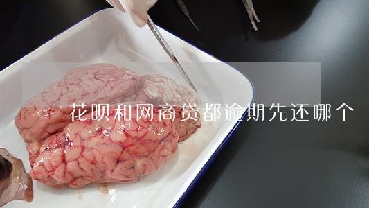 花呗和网商贷都逾期先还哪个 花呗和网商贷都逾期先还哪个