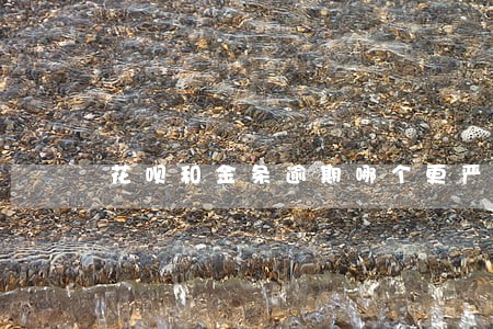 花呗和金条逾期哪个更严重 花呗和金条逾期哪个更严重
