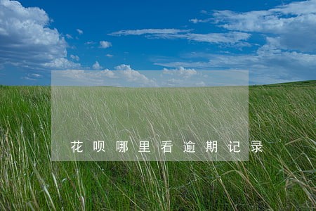 花呗哪里看逾期记录 花呗哪里看逾期记录