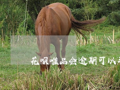 花呗唯品会逾期可以车贷吗 花呗唯品会逾期可以车贷吗