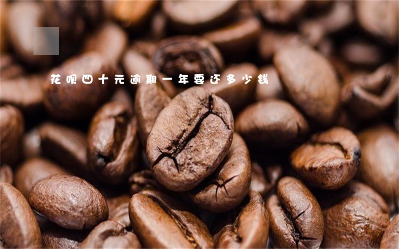 花呗四十元逾期一年要还多少钱