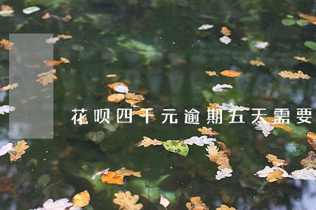 花呗四千元逾期五天需要扣多少 花呗四千元逾期五天需要扣多少