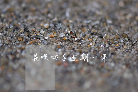 花呗四千逾期一年