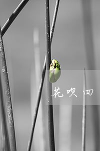 花呗四千逾期会上门吗