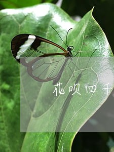 花呗四千逾期四十天会上门吗
