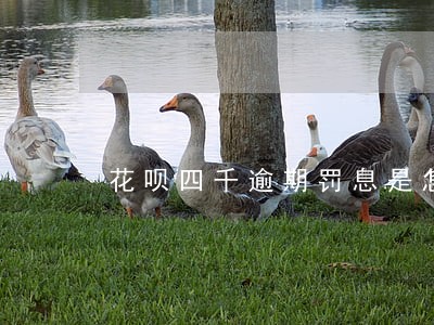 花呗四千逾期罚息是怎么算的