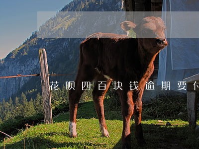 花呗四百块钱逾期要付多少违约金