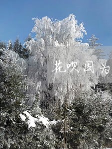 花呗因为疫情逾期三个月怎么办 花呗因为疫情逾期三个月怎么办