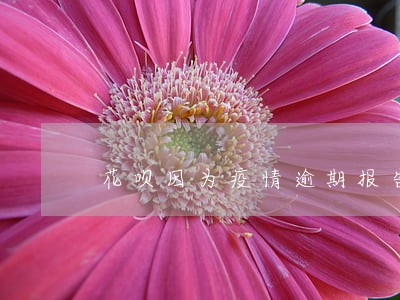花呗因为疫情逾期报告