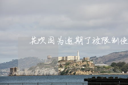 花呗因为逾期了被限制使用图片 花呗因为逾期了被限制使用图片