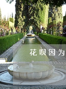 花呗因为逾期冻结怎么开通 花呗因为逾期冻结怎么开通