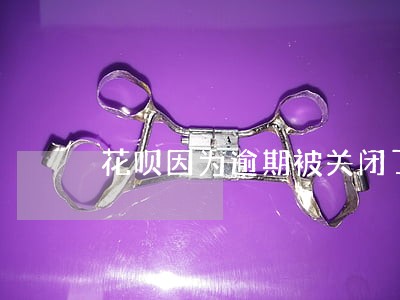 花呗因为逾期被关闭了 花呗因为逾期被关闭了