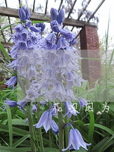 花呗因为逾期被冻结了怎么办 花呗因为逾期被冻结了怎么办