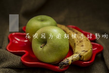 花呗因为逾期被冻结影响买房吗 花呗因为逾期被冻结影响买房吗