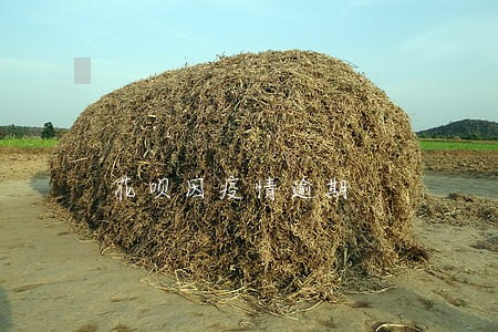 花呗因疫情逾期 花呗因疫情逾期