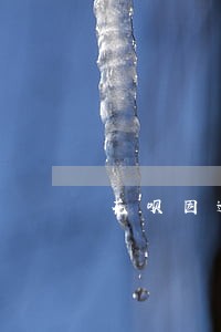 花呗因逾期被关闭 花呗因逾期被关闭