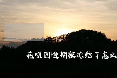 花呗因逾期被冻结了怎么恢复 花呗因逾期被冻结了怎么恢复