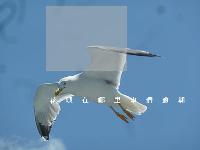 花呗在哪里申请逾期 花呗在哪里申请逾期