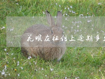 花呗在征信上逾期多久消除 花呗在征信上逾期多久消除