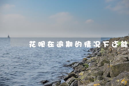 花呗在逾期的情况下还能用吗 花呗在逾期的情况下还能用吗