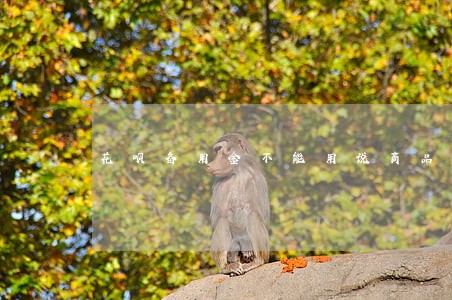 花呗备用金不能用说商品贷逾期 花呗备用金不能用说商品贷逾期