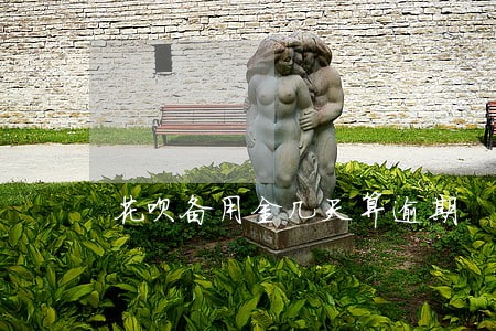 花呗备用金几天算逾期 花呗备用金几天算逾期