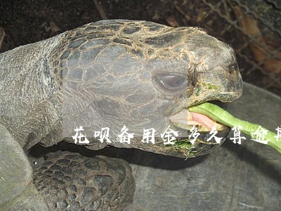 花呗备用金多久算逾期 花呗备用金多久算逾期