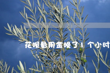 花呗备用金晚了1个小时也算逾期 花呗备用金晚了1个小时也算逾期