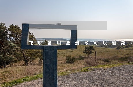 花呗备用金最多可以逾期几天还款 花呗备用金最多可以逾期几天还款
