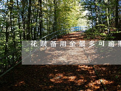 花呗备用金最多可逾期多久 花呗备用金最多可逾期多久