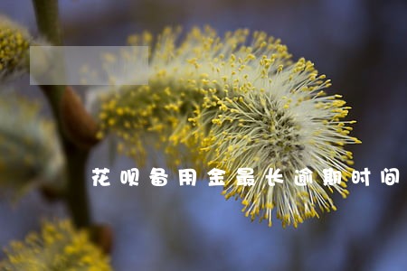 花呗备用金最长逾期时间 花呗备用金最长逾期时间