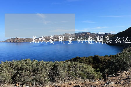 花呗备用金的逾期怎么还 花呗备用金的逾期怎么还