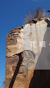 花呗备用金逾期1周 花呗备用金逾期1周