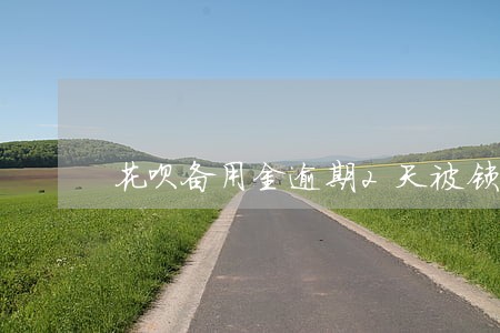 花呗备用金逾期2天被锁了