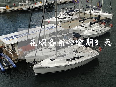 花呗备用金逾期3天 花呗备用金逾期3天
