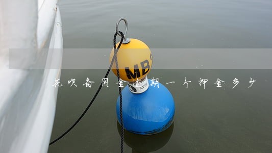 花呗备用金逾期一个押金多少